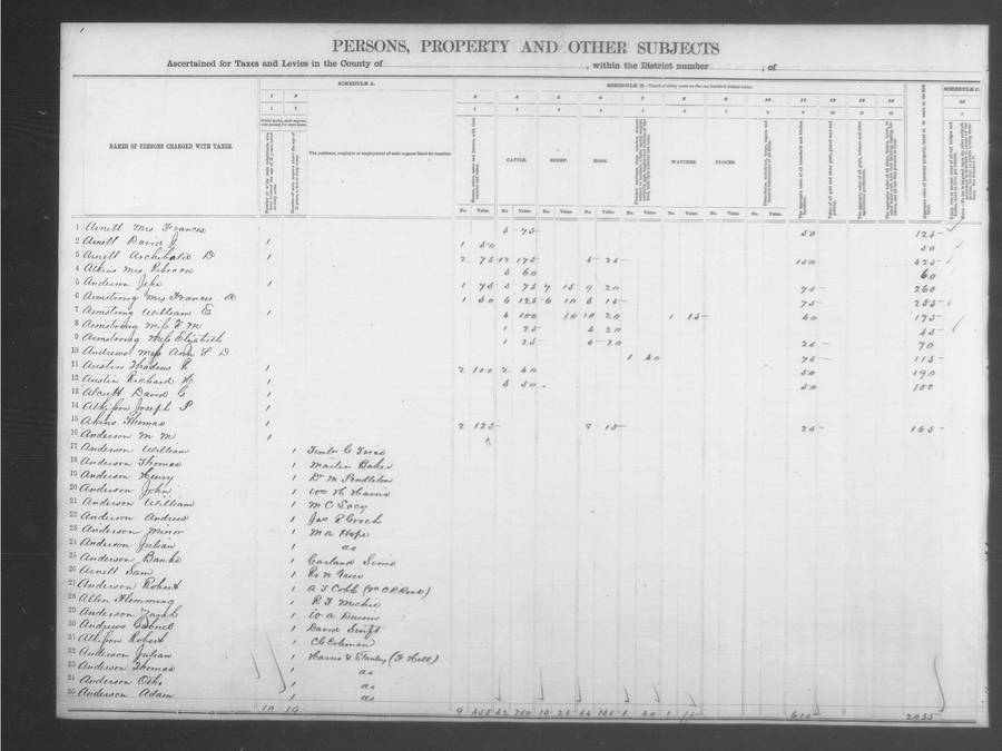 Sample Personal Property Tax record for Louisa County