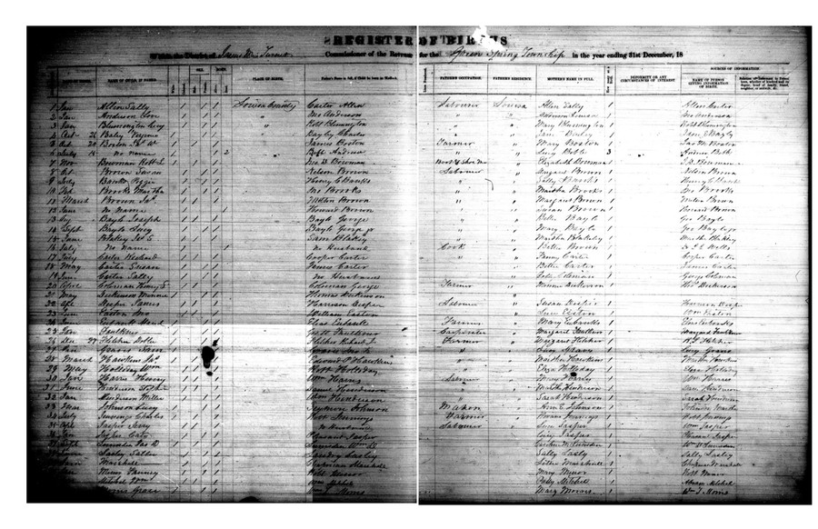 1870 Louisa County Births Green Springs Allen.jpg