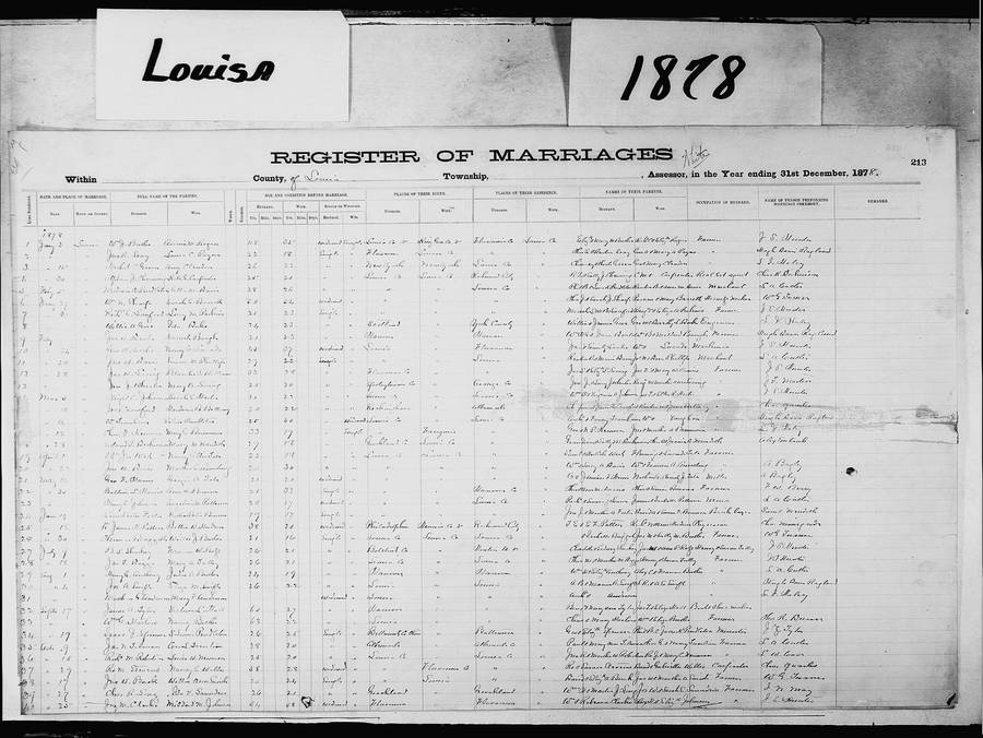 Louisa_Marriages_1878_A.jpg