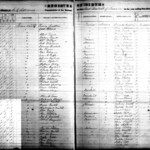 LC Births 1869 Pendleton.jpg
