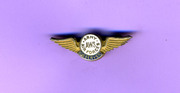 Army Air Forces Aircraft Warning Service Observer Pin 